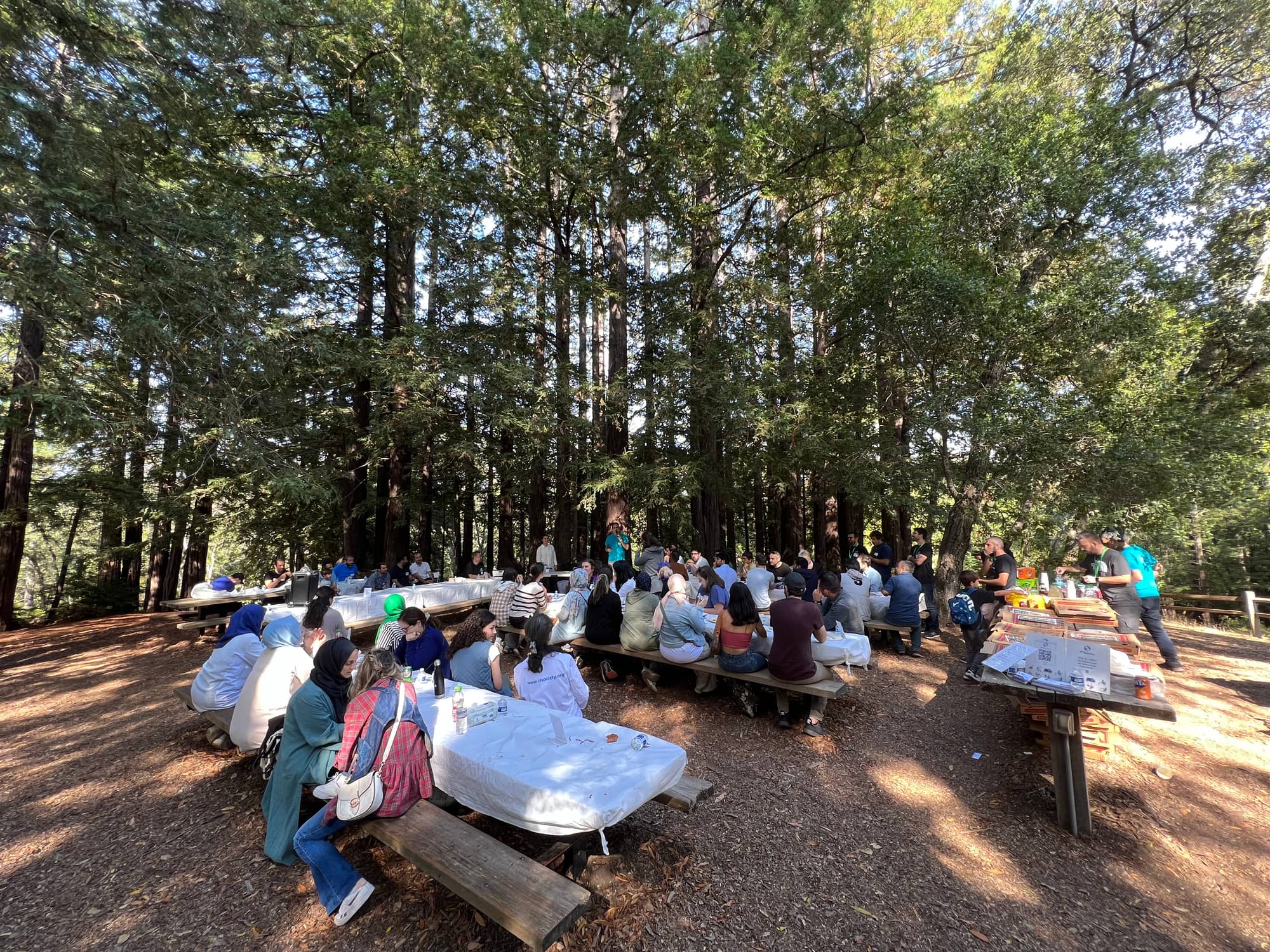 IT Society members gathered for an outdoor picnic among the redwoods